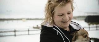 Stjärnorna på Gotland