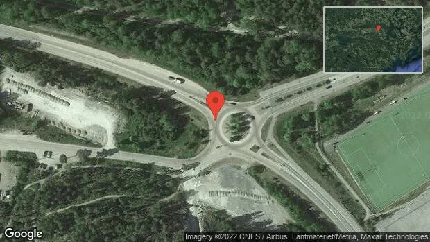 Vildsvin på vägen på väg 900