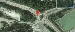 Vildsvin på vägen på väg 900