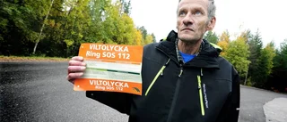 Viltolyckorna färre i Norrbotten