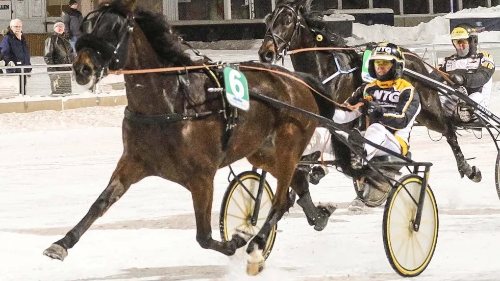 Slog till direkt. Petter Lundberg och Juno F blev först med att fälla en favorit.