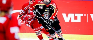 Luleå vill starta nationellt hockeygymnasium för tjejer