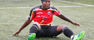 Rysaravslutning väntar för AFC Luleå