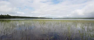 Områdeschefen: "Svårt sjuka går först"
