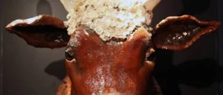 Evolutionen - några frågor på det?