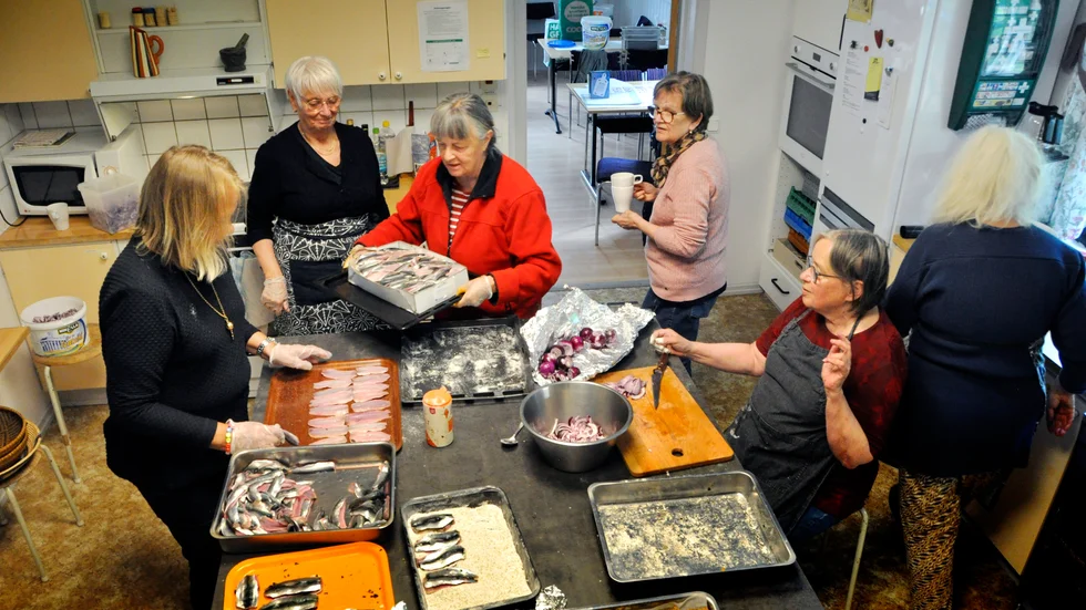 Strömmingsfestivalen förbereds i Folkets hus i Hargshamn. Här huserar Marja-Leena Garnier, Eva Tanskanen, Ann-Charlotte Ljungholm, Anitta Holgersson, Liisa Ristikartano och med ryggen mot kameran, Karin Åhström.