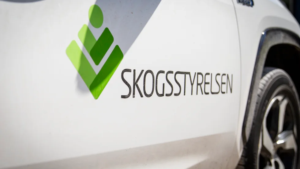 Skogsstyrelsen skriver i sitt beslut att så länge det följs kommer något vite inte att behöva betalas av markägaren. Arkivbild.