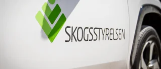 Skogsstyrelsen begär fler uppgifter - "En anmälan om avverkning kan handläggas automatiskt"