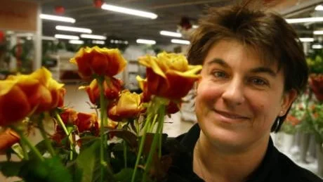 Rosor kan vara omväxling till julblommorna tycker Birgitta Dahlqvist. Foto: Bengan Zettergren