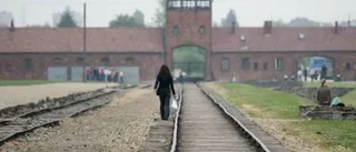 Med skräckfylld förväntan åker vi till Auschwitz
