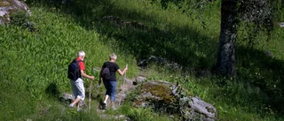Gemenskap ger bättre hälsa i alla livets skeden
