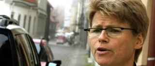 Miljöpartiet vill behålla monopolet - med långsamma färjor
