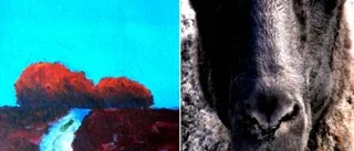 Far och son Grönberg ställer ut på Fårö