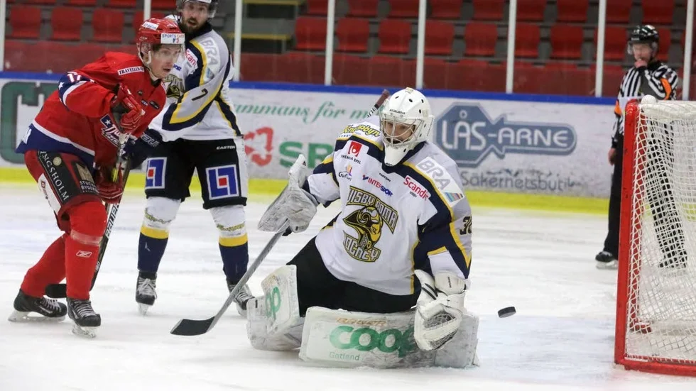 Bortaseger. Sammy Gustafsson vaktade målet när VIsby Roma slog Huddinge.
