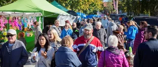Klinte marknad växlar upp – hoppas på lagom fint väder • ”Annars stannar folk hemma och påtar i trädgården”