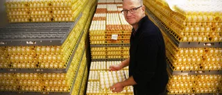 Gotlandsäggs Magnus Bolin slutar som vd – nu presenteras hans ersättare