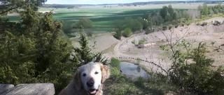 Då blev det fart i de gamla benen!
