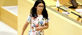 Ska vi betala för vildar?        