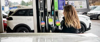 Bränsle- och elpriserna är resultatet av en oansvarig politik