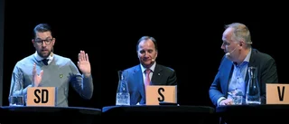 SD-stöd ger inte inflytande