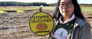 Protester mot förrymda potatisar