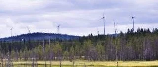 Försvaret godtar vindkraft