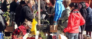Jättegrönt och jättekul på växtmarknad