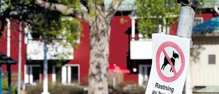 Hundarna fortsatt omhändertagna
