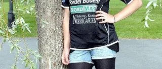Nu är nästa pusselbit på plats i Boden