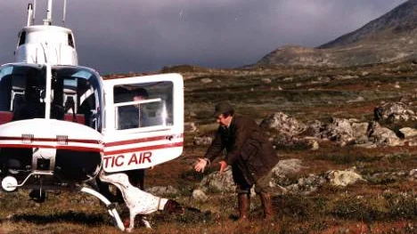 Många utländska jägare avbokade sina jaktresor när länsstyrelsen införde begränsningar, nu får två helikopterföretag dela på ett miljonskadestånd för det felaktiga beslutet. Foto: Magnus Pehrsson