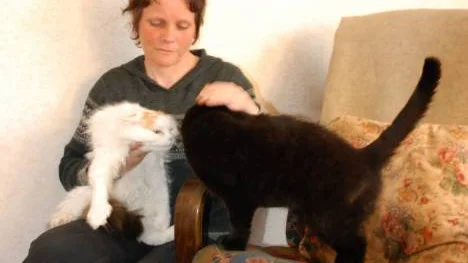 Inget är sig likt för katterna Gullan och Cato. Två av deras kattväner är döda och plötsligt får de inte heller gå ut. FOTO: Susanne Jansson