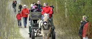 Hästskjuts och guldvaskning på Naturens dag