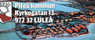 "Beskickning" öppnar i Luleå