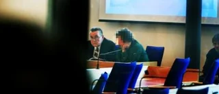 Tio års fängelse för mord