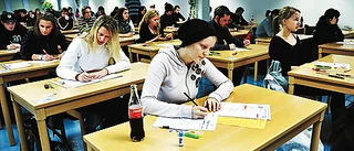Målet är att utbilda sig till datagrafiker
