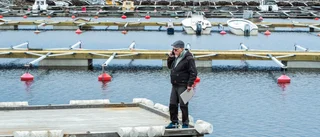 Luleå hamn fortsätter upprustningen – vill bli stans finaste