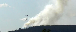 Skogsbrand tog fart igen