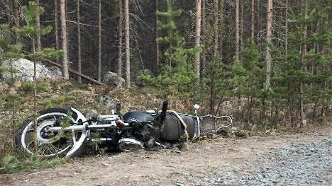 Plötsligt började den 69-årige manenns motorcykel att vobbla, strax därefter körde mannen in i skogen. Foto: Adam dahlberg