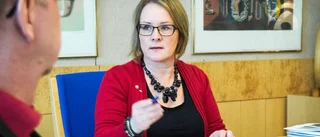 Klart: De ska leda arbetet med storregionen