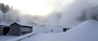 Konstsnö synas i domstol