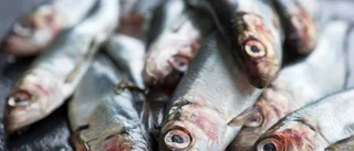 Villaägare attackerad med strömming