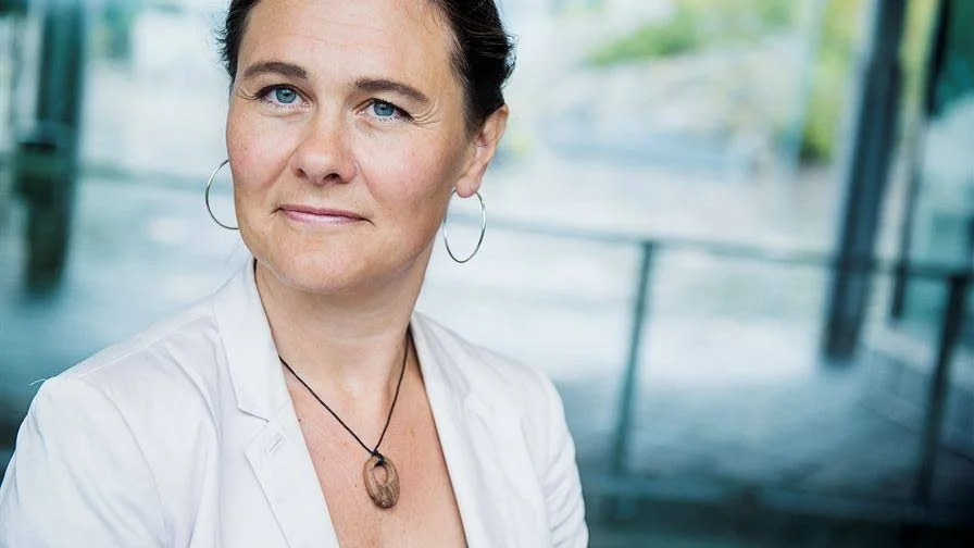 Karin Milles, född 1969, är lärare vid Södertörns högskola. Hon har skrivit flera böcker, vetenskapliga artiklar och språkspalter.