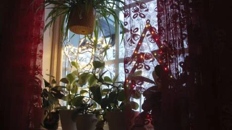 Julefrid råder nu i Birger och Alice Fjellström hem i centrala Jokkmokk, efter förra veckans besked om att Birger frias från brottsmisstankar. FOTO: Maria Ödalen