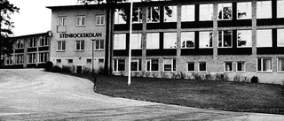 Skola granskades efter elevs självmord