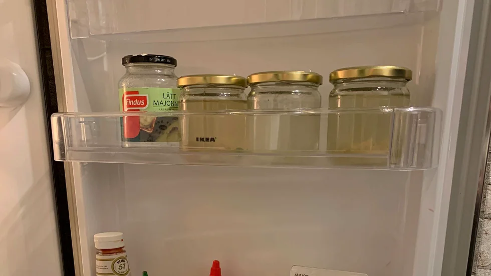 Burkar med grumlig vätska i kylskåpet. Vätskan tros höra till svampodlingen.