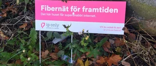 IP Only: "Vi underskattade utmaningarna på landsbygden"