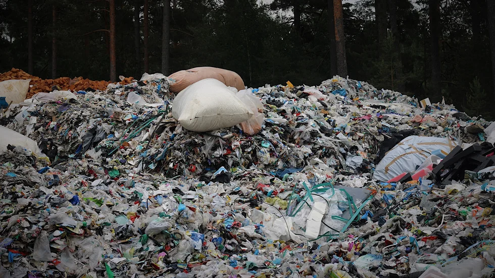 Flugorna gillar att flyga runt vid plasten. 