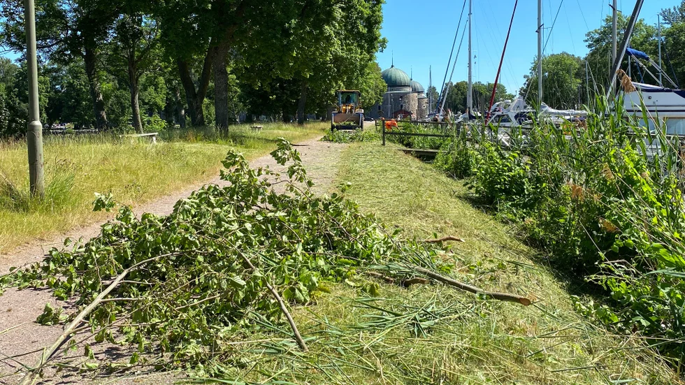 "Nu har det blivit lite eftersatt, vi skulle kanske tagit första omgången några veckor tidigare, men de har börjat", säger Mikael Lilja om att de börjat ta ner buskar och gräs vid hamnen.