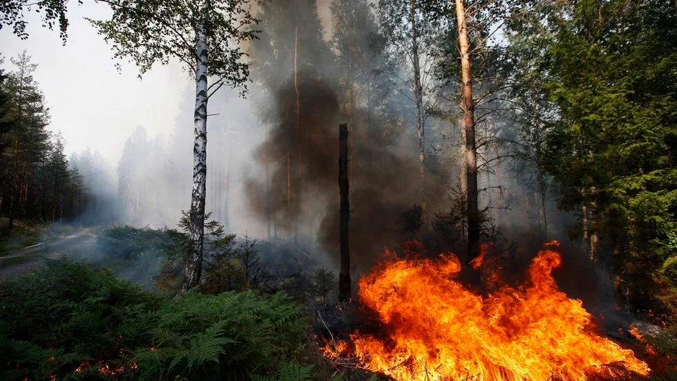 En mindre skogsbrand upptäcktes av ett privatplan under måndagsförmiddagen. Arkivbild.