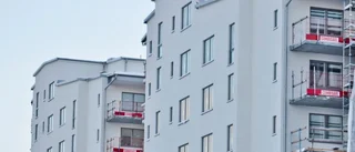 "Anskrämliga hus" på Trosalundsberget upprör